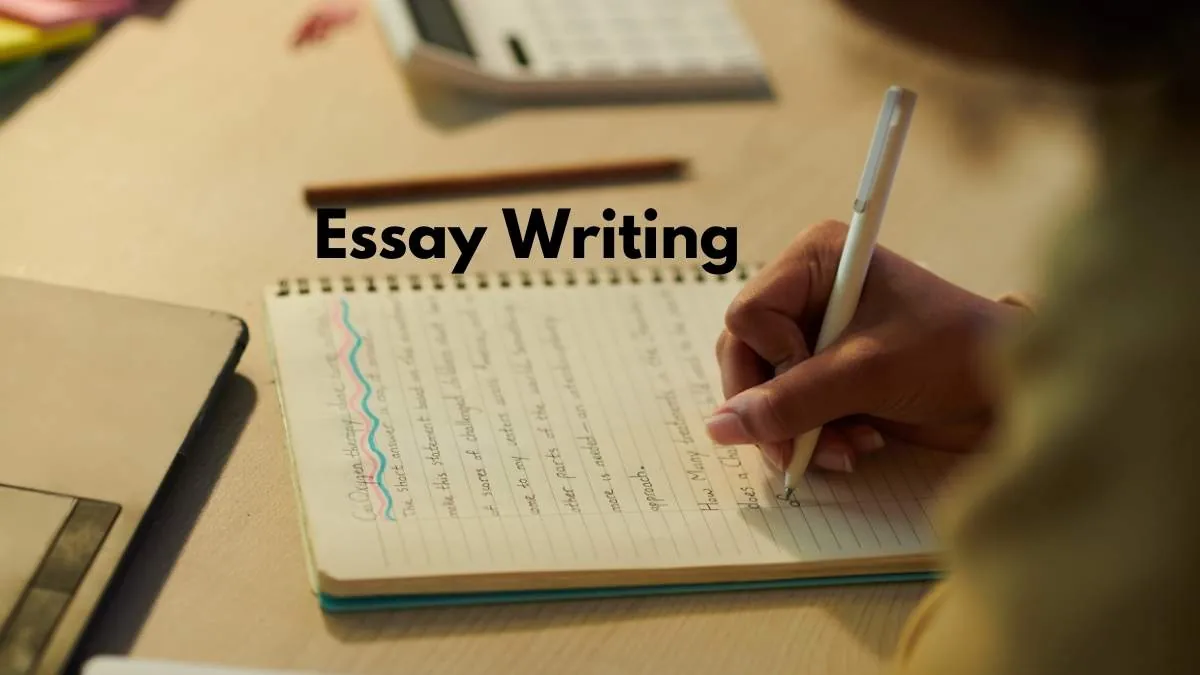 Essay Writing Help in Elyria