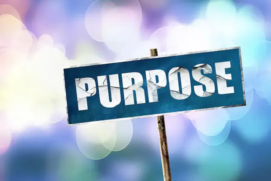 Purpose