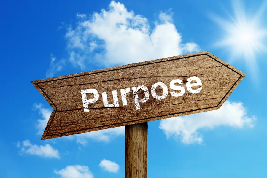 Understanding the Purpose