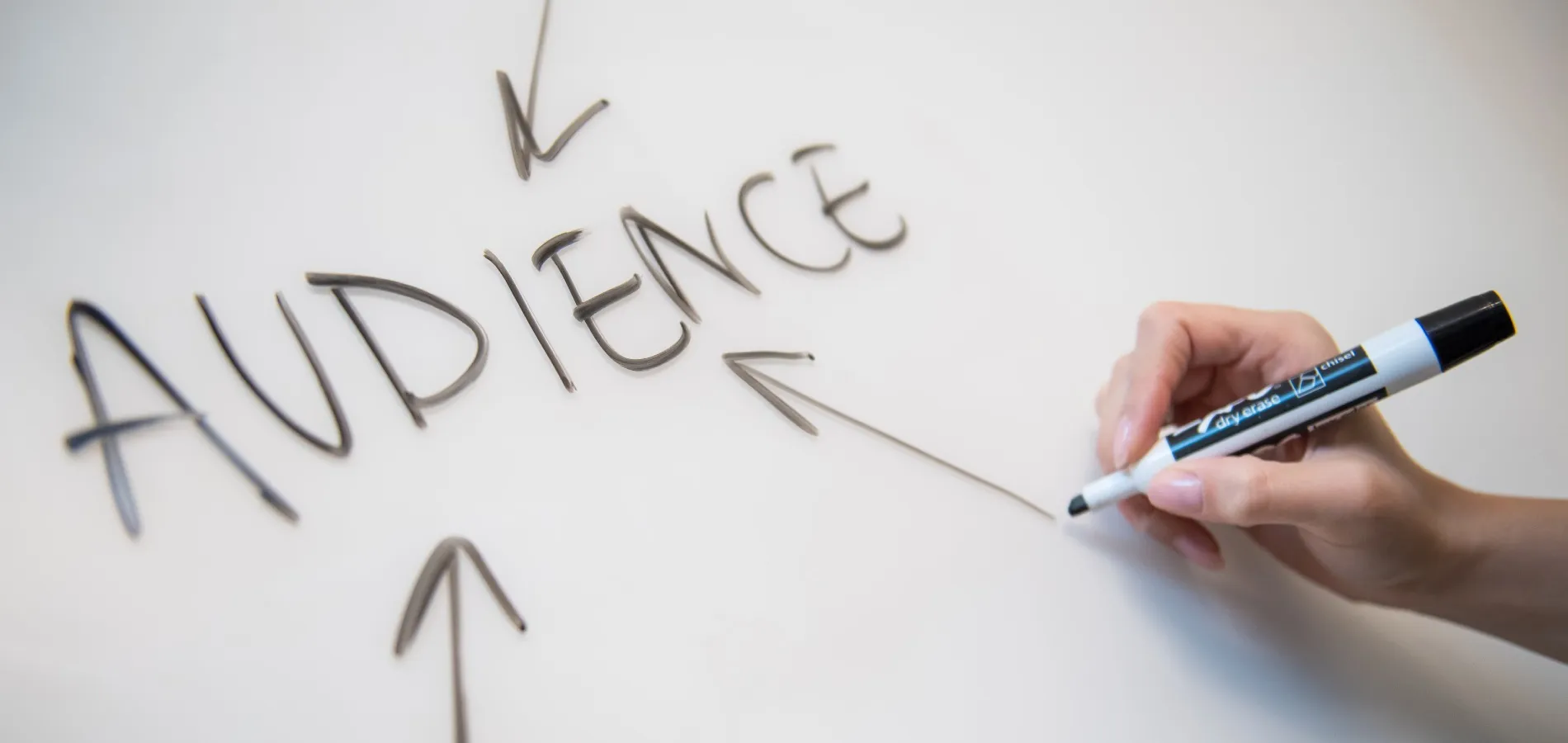 Understanding Your Audience